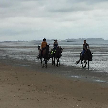 Decouverte D'Un Haras Proche Du Mont St Michel Hambye Exterior foto