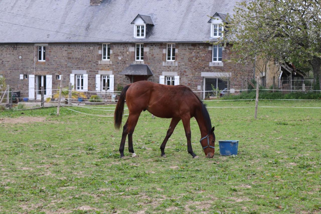 Decouverte D'Un Haras Proche Du Mont St Michel Hambye Exterior foto