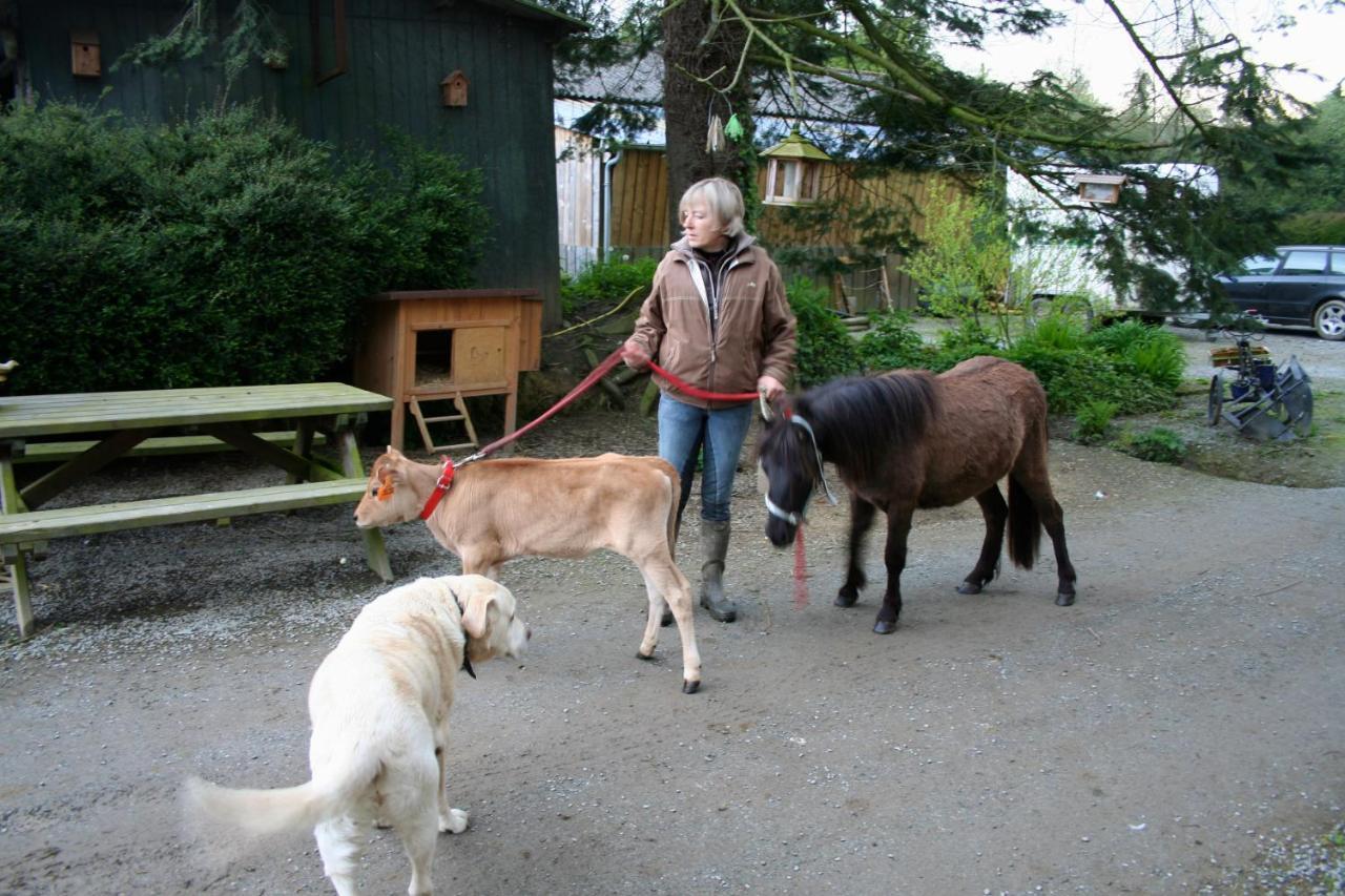 Decouverte D'Un Haras Proche Du Mont St Michel Hambye Exterior foto