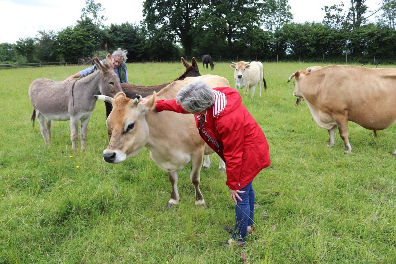 Decouverte D'Un Haras Proche Du Mont St Michel Hambye Exterior foto